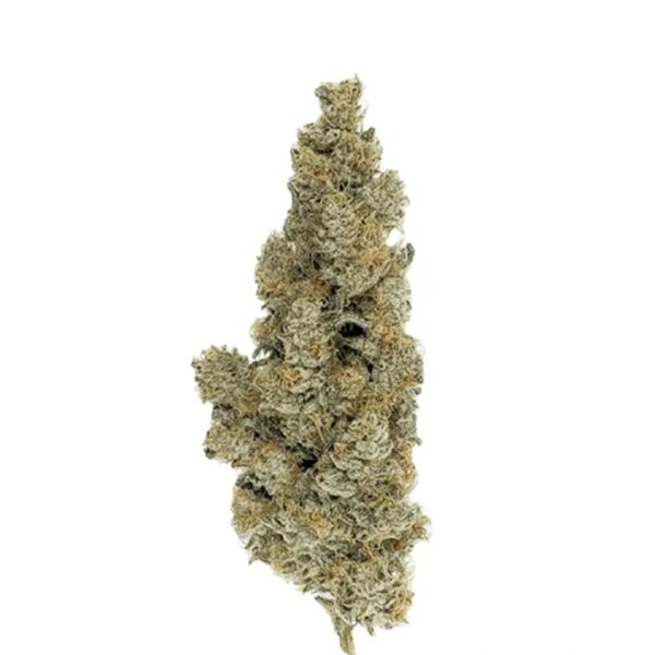 420 Evolution 33/1 CA ICC Ice Cream Cake
