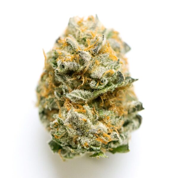 ADREX 26 CKD CAN Cookie Dough