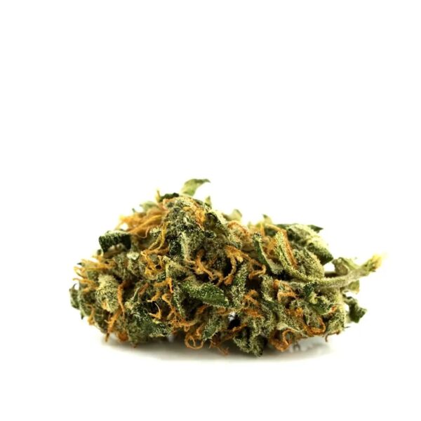 Aphria Typ 1 Bienville