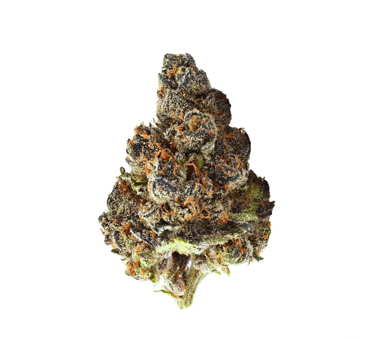 avaay-28-1-gnc.jpg avaay 28/1 GNC Grapes and Cream – Bild 1