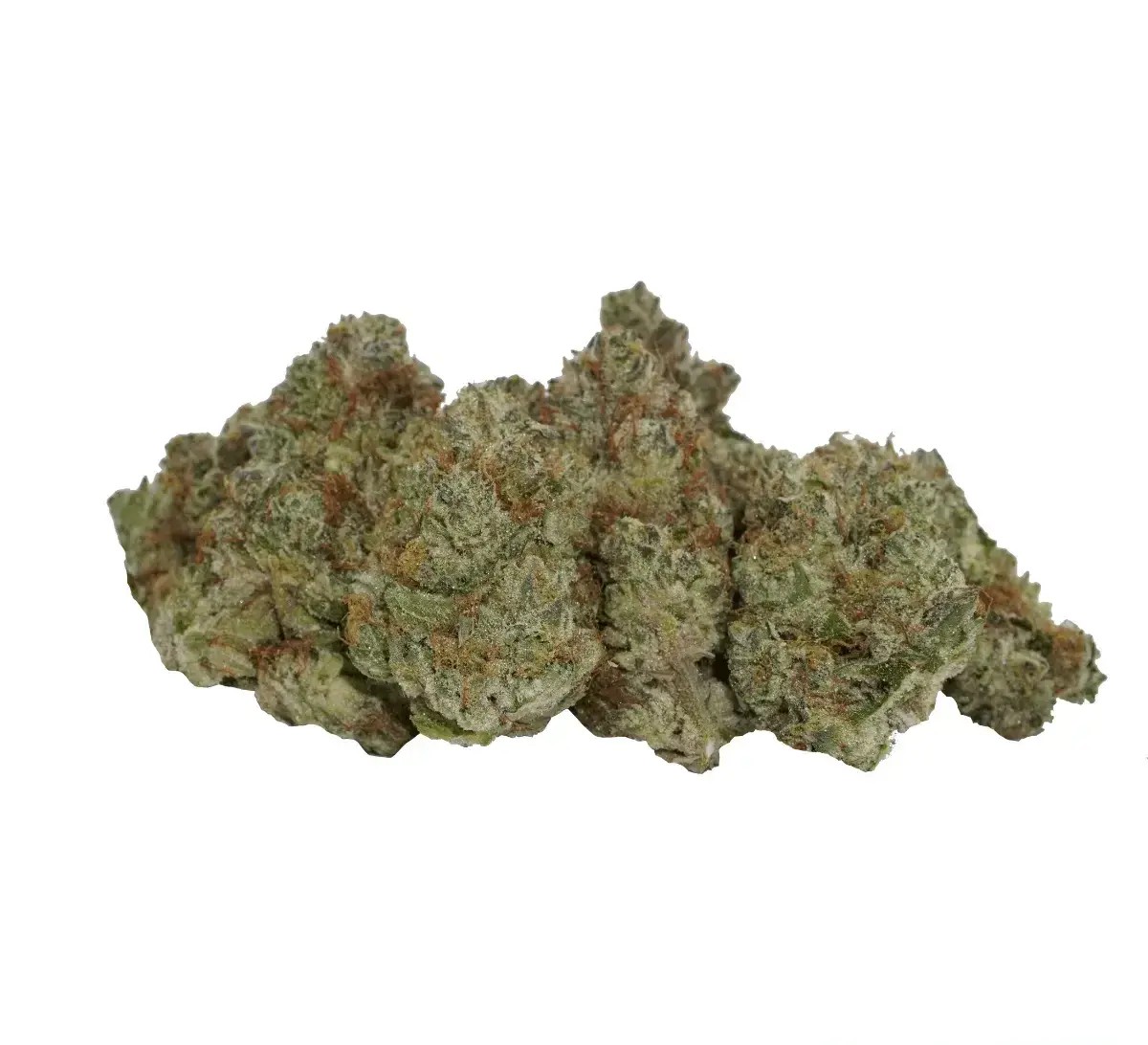 avaay-signature-29-1-ogc.jpg avaay SIGNATURE 29/1 OGC Ocean Grown Cookies – Bild 1