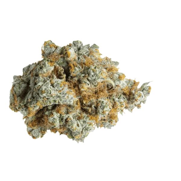 Barongo 30/1 ECC Cheddar Cheese smalls