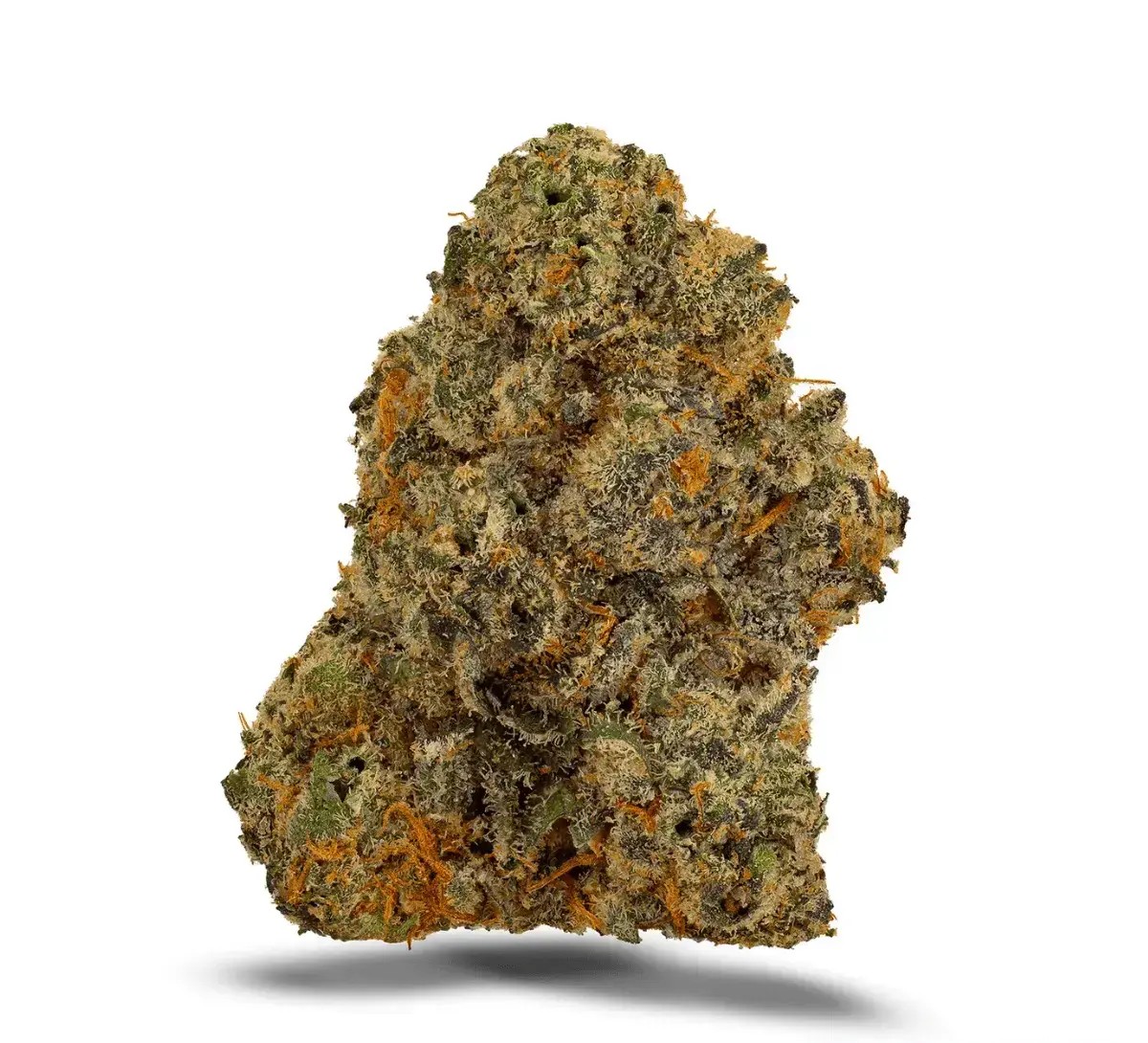 bathera-25-1.jpg Canify Cannabis flos 25/1 CO Ku. Kush Mints – Bild 1
