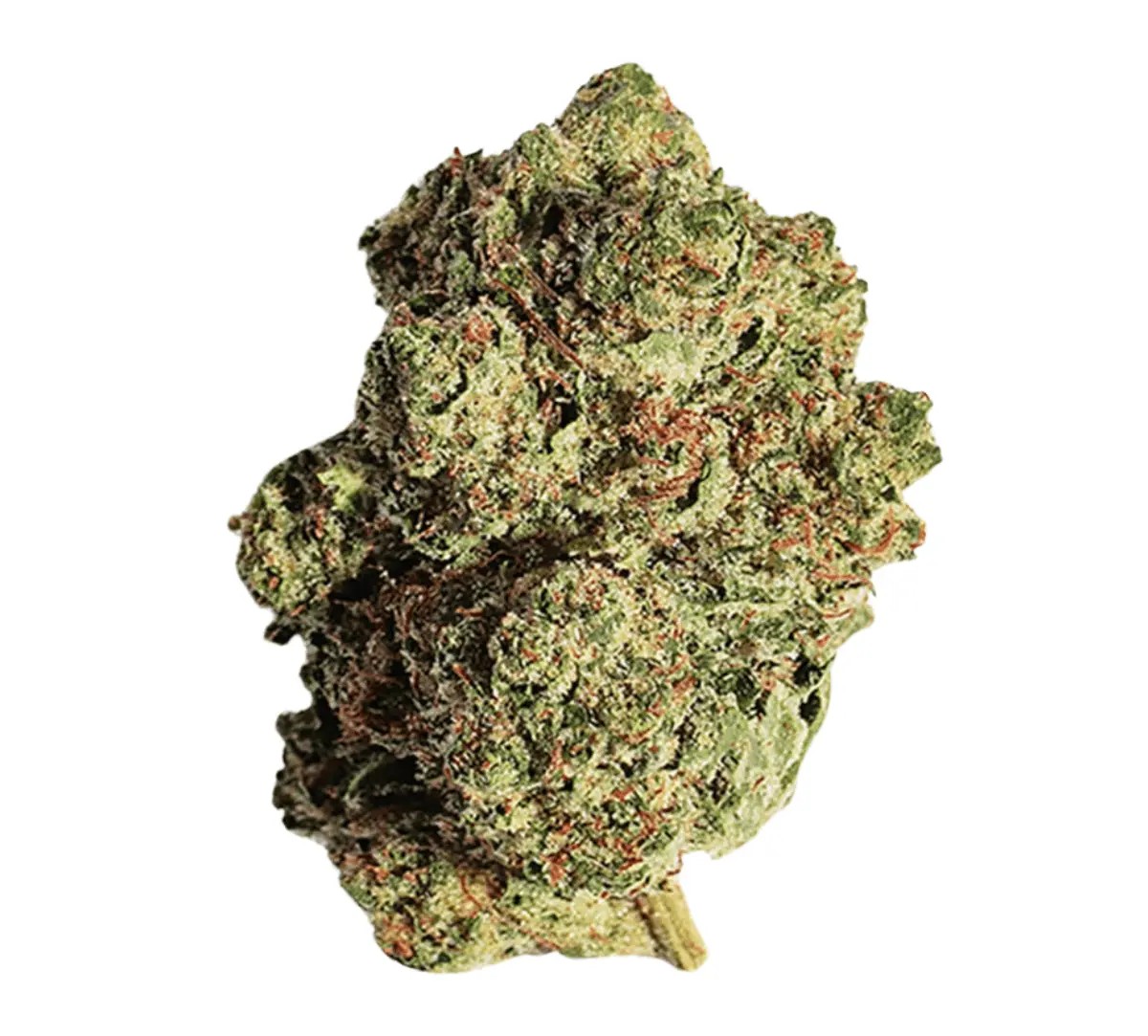 beacon-t24-pink-kush.jpg Beacon T24 Pink Kush – Bild 1