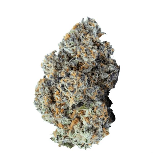 BLKMKT LAW THC27 LA WoMAC