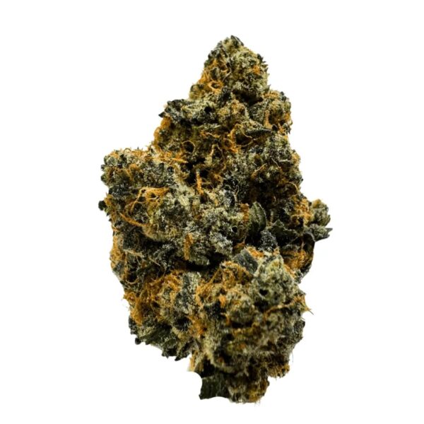 Buuo 24/1 JGB Juggernaut x Gas Breath