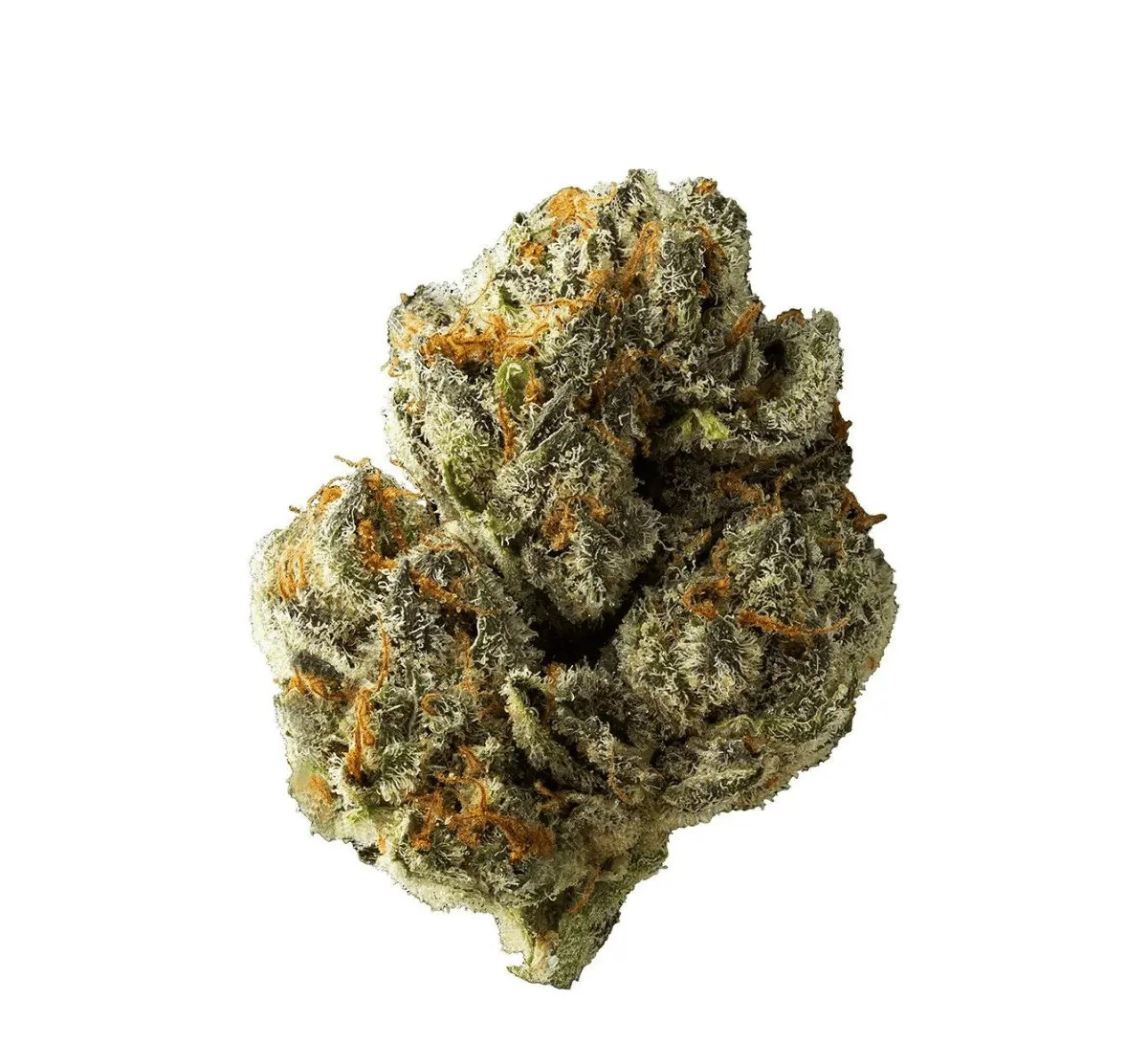cannamedical-cm-33-1-dm.jpg Cannamedical CM 33/1 DM Diamond Mints – Bild 1