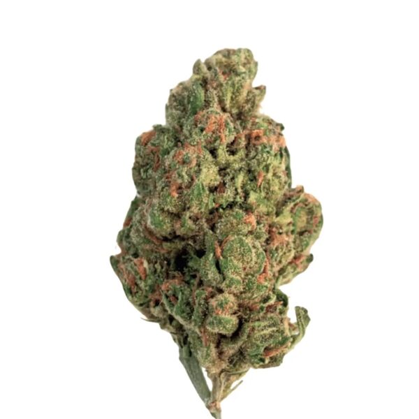 Cannamedical Hybrid classic DK Fullgas