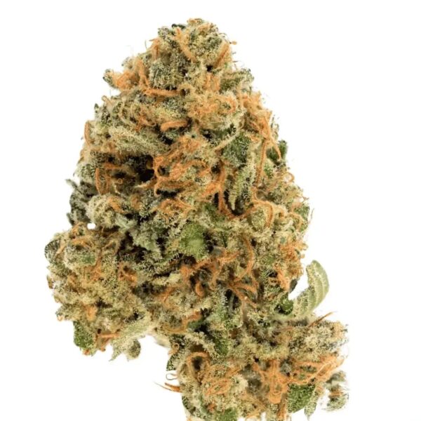 Cannamedical Hybrid Ultra DK Ghost Train Haze