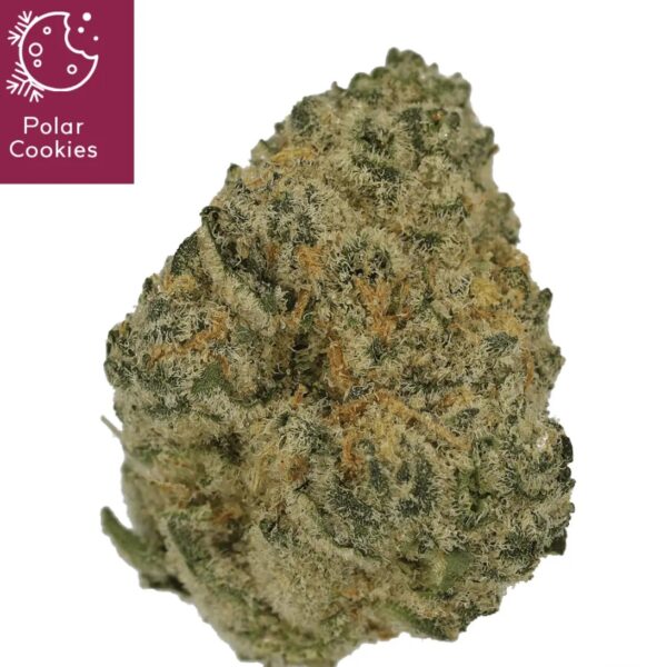 Cannamedical Sativa Ultra 28/1 NM Polar Cookies