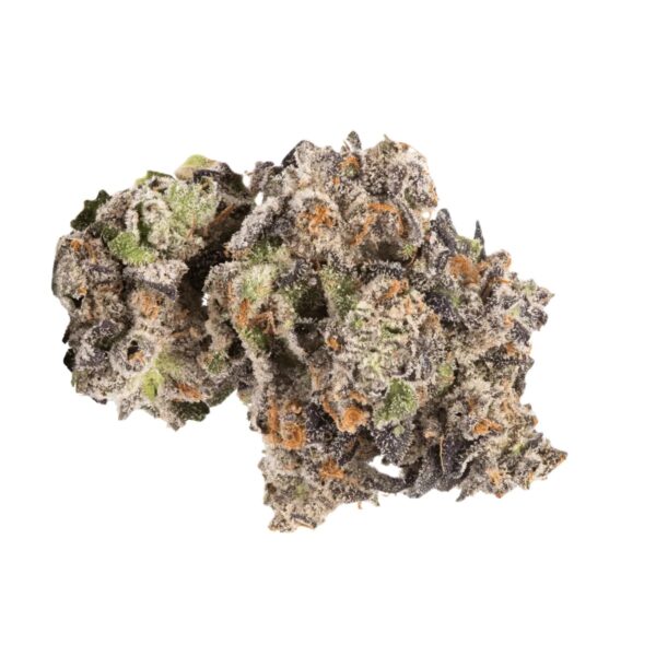 Apollo 33/1 EUF Delicata Cookies