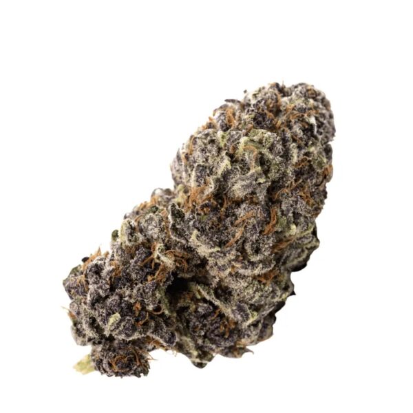 enua 27/1 ZKM CA Zkittlez Kushmints