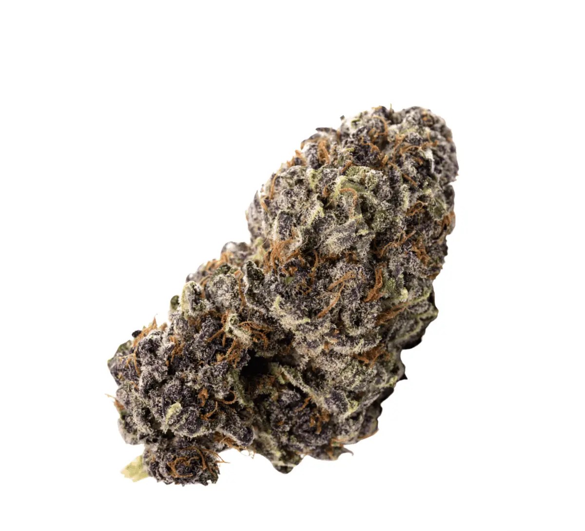 enua-27-1-zkm-ca-zkittlez-kushmints.jpg enua 30/1 ZKM CA Zkittlez Kushmints – Bild 1