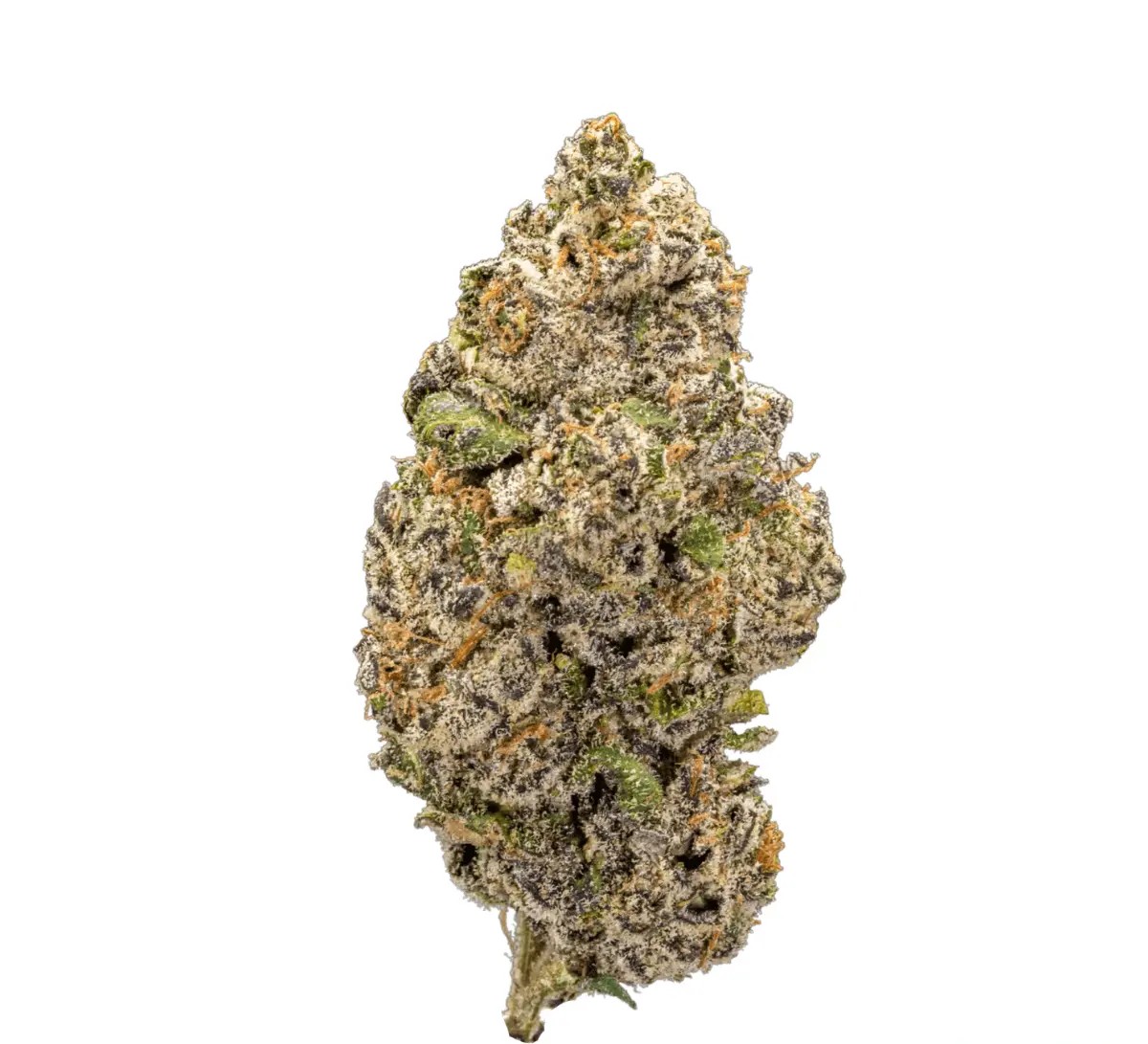 gm-colour-of-space-2601.jpg GM Colour of Space 28/1 Apple Fritters Purple Punch – Bild 1
