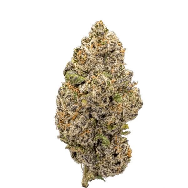 GM Colour of Space 26/1 Apple Fritter x Purple Punch