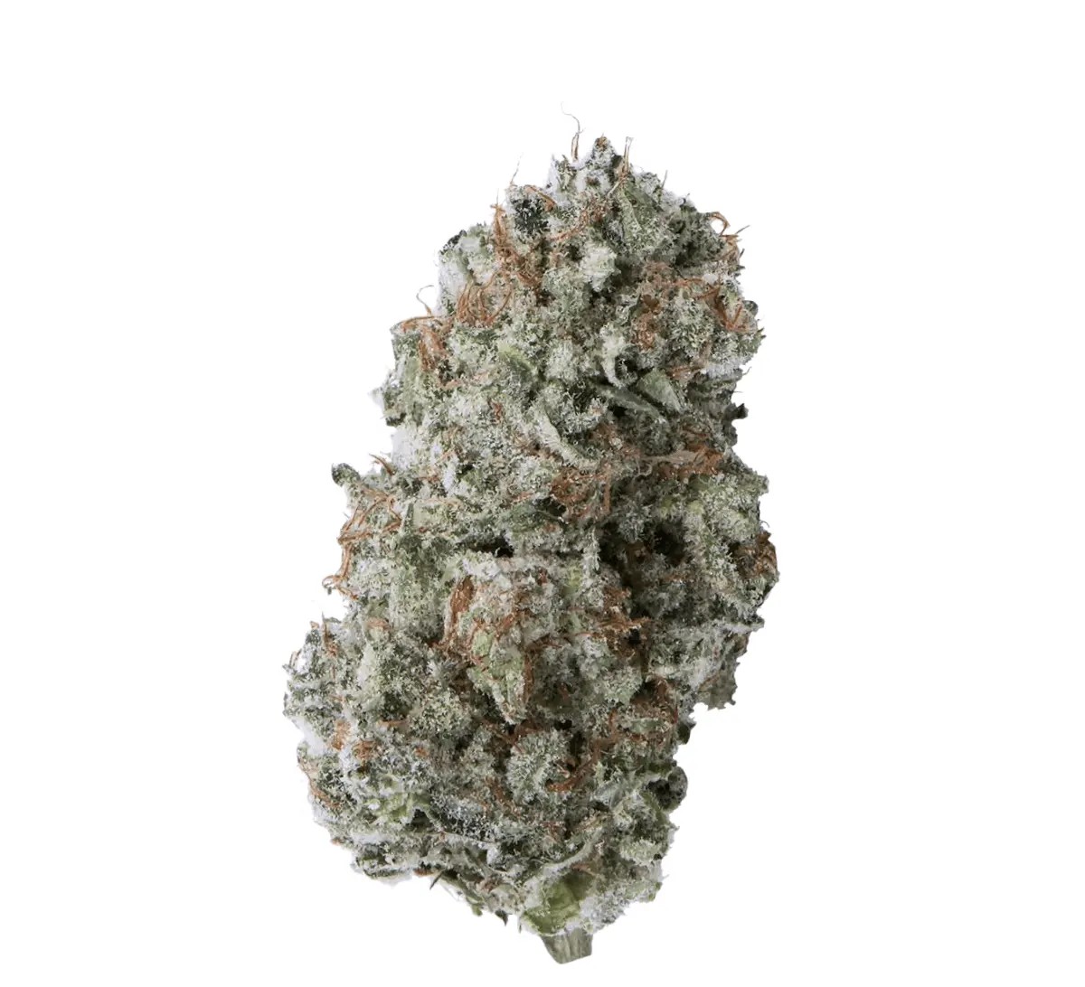 imc-agd-thc25-afghani-drifter.jpg IMC AGD THC25 Smalls Afghani Drifter – Bild 1