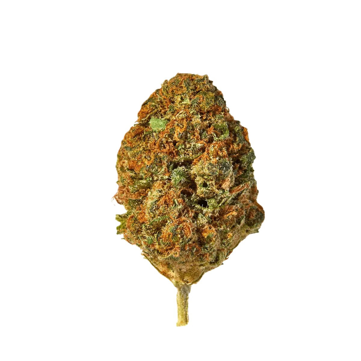 imc-cf-thc22.jpg IMC CF THC22 Pine Peak – Bild 1