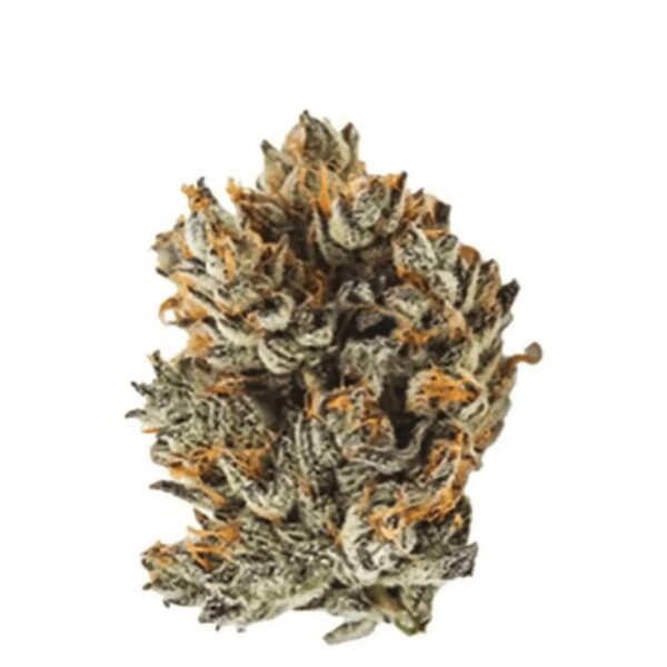 IMC THC20 GGA Purple Grape