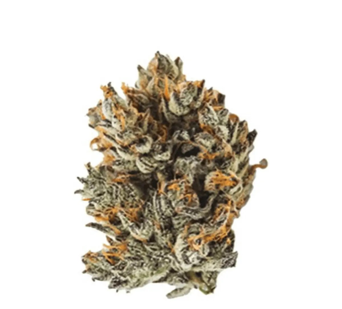 imc-gga-thc22.jpg IMC THC24 GGA Purple Grape – Bild 1