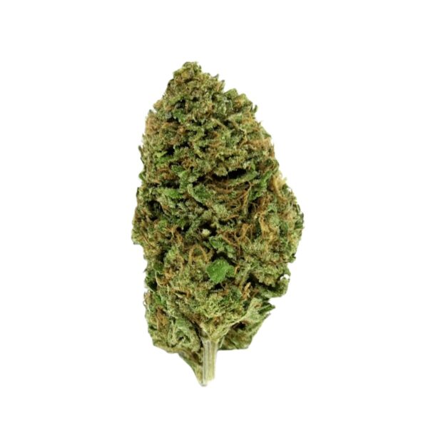IMC X4 THC25 Token Gorilla Queen
