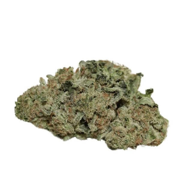 KHIRON G 23/1 Gelato 42