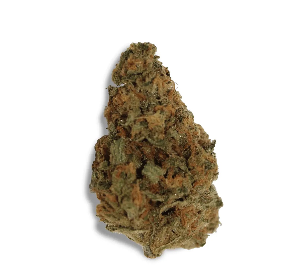 khiron-slh-24-1.jpg KHIRON SLH 24/1 Super Lemon Haze – Bild 1