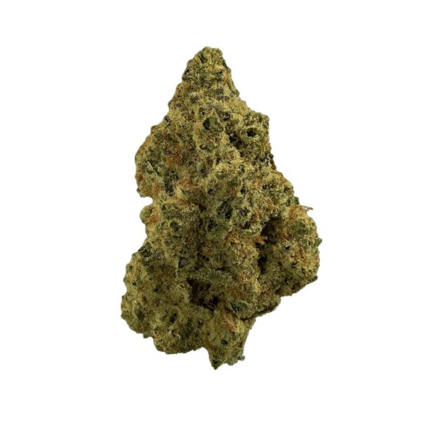 madrecan 18/1  GDY Minis Granddaddy OG