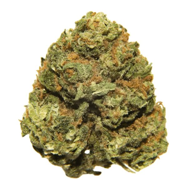 madrecan 21/1 WOP Wonder Punch