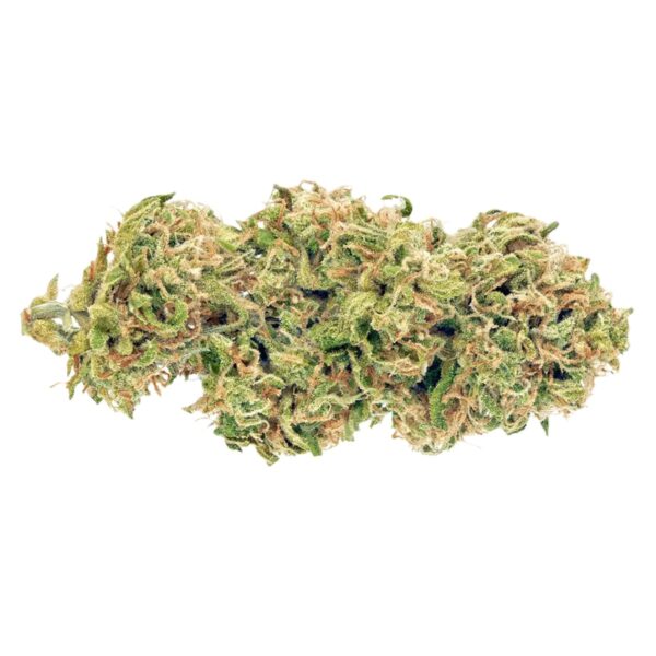 Medical Saints 27/1 HUB Huckleberry