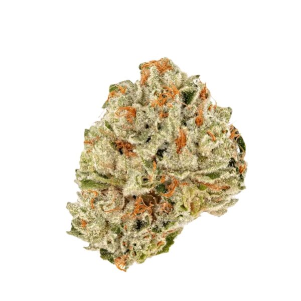 MediCann 19/1 MC Oro 21 Duende