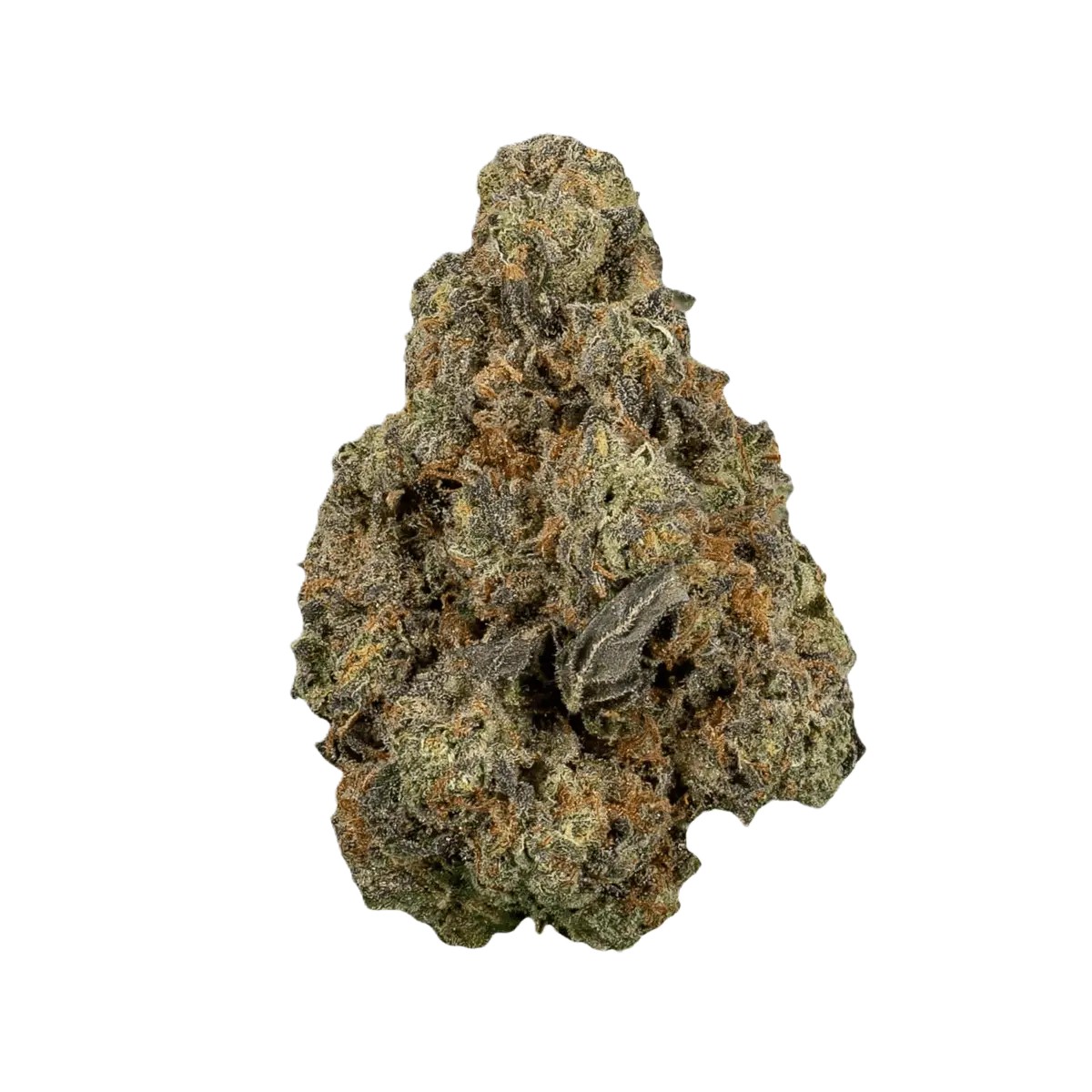 medicus-21-1-eza-wec.jpg Medicus 21/1 EZA FCO Frosted Cookies – Bild 1