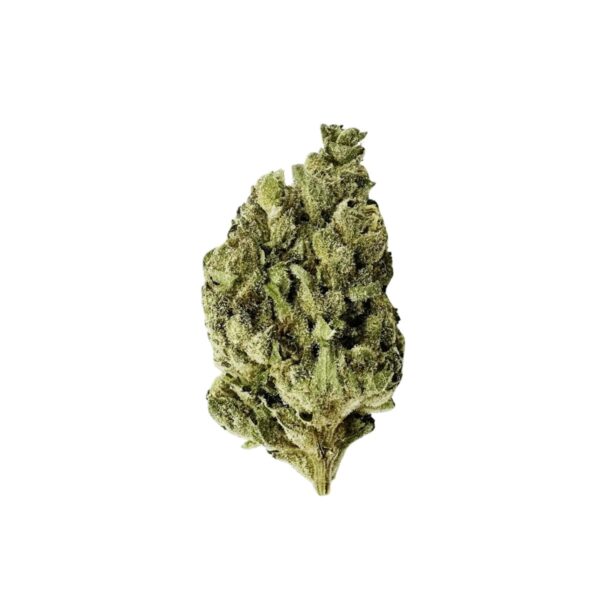 MGF CANN BKR 30/1 Delicata Cookies
