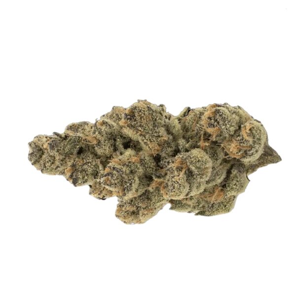 MGF CANN SNL 30/1 Honey Suckle