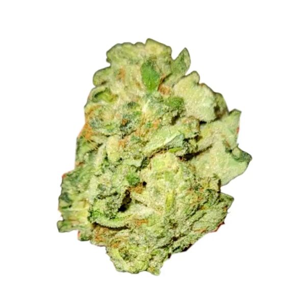 Navcora THC 22 Spotlight Porto Galaxy Walker OG