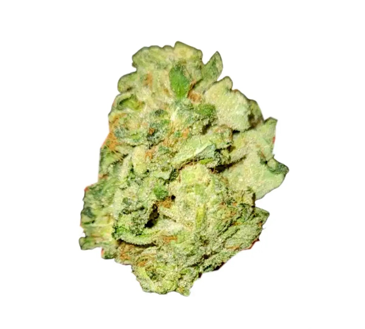 navcora-thc-18-spotlight-porto-galaxy-walker.jpg Tilray THC 18 Spotlight Porto Galaxy Walker OG – Bild 1