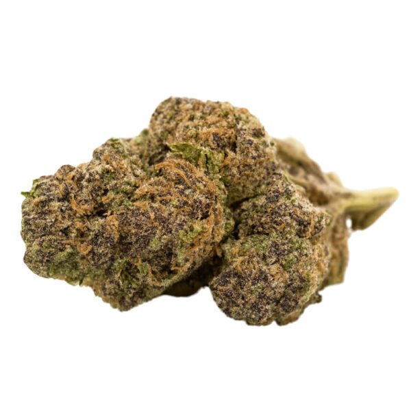 NICE 22/1 TC Tropicana Cookies