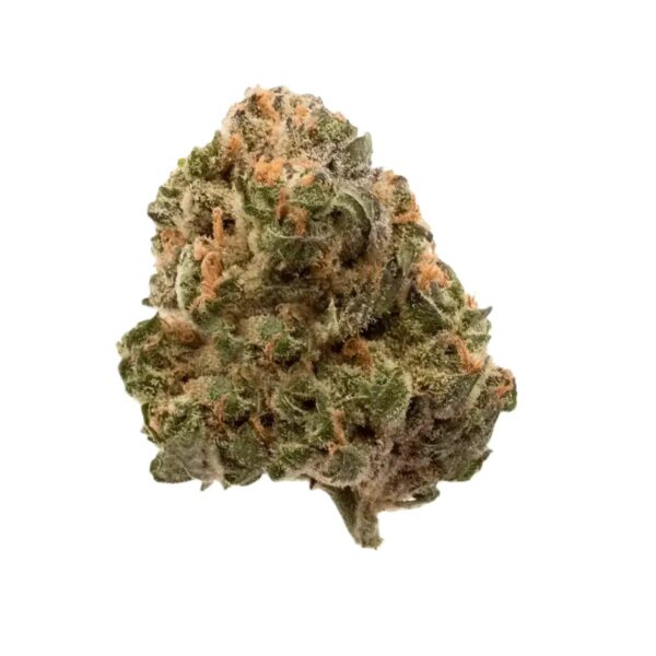 NICE 31/1 GSC Girl Scout Cookies