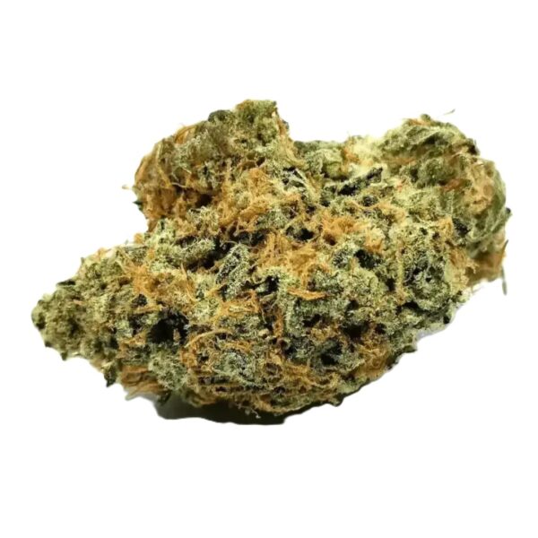 Nimbus easy 20/1 Hellfire