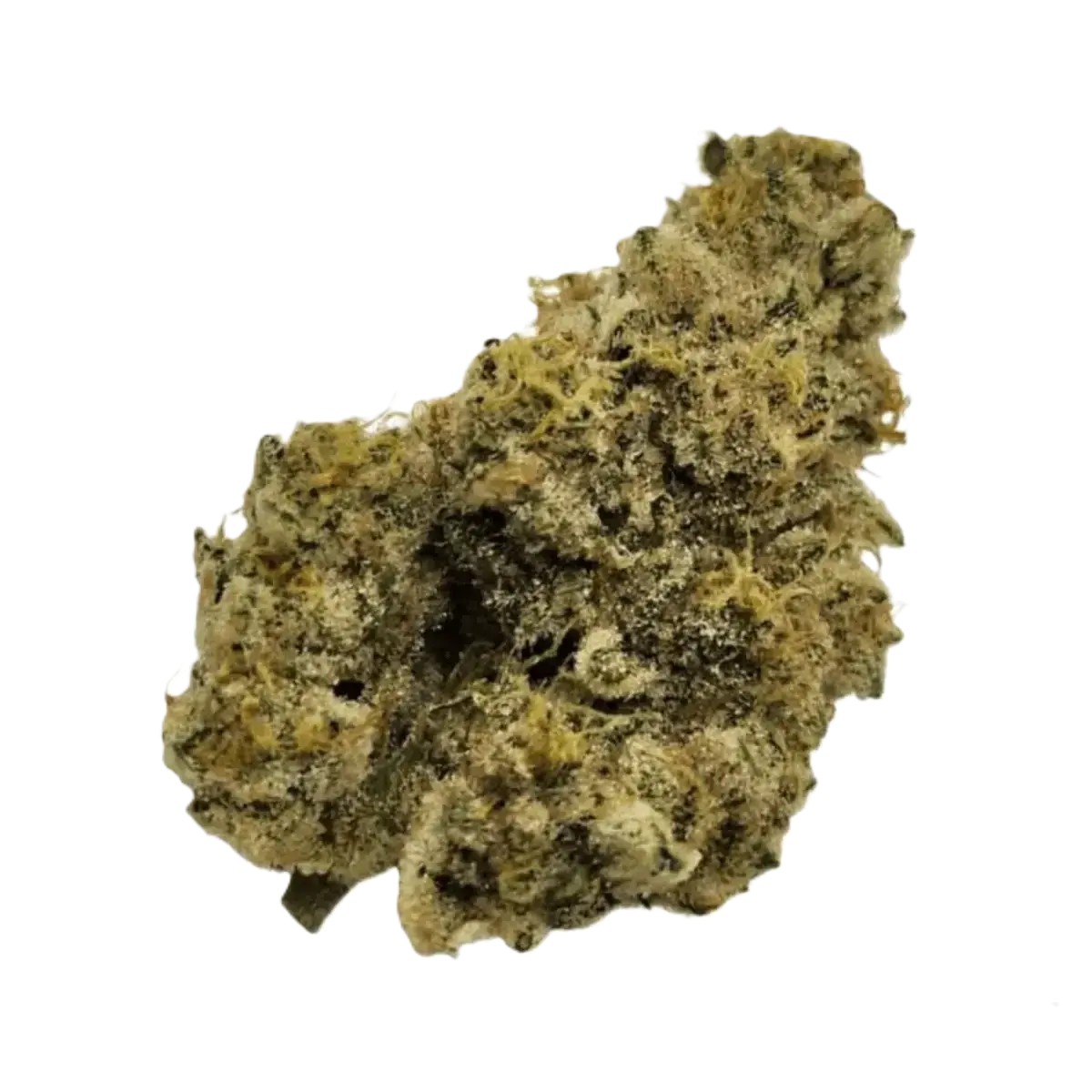 nimbus-easy-30-1.jpg Nimbus easy 30/1 La Sage – Bild 1