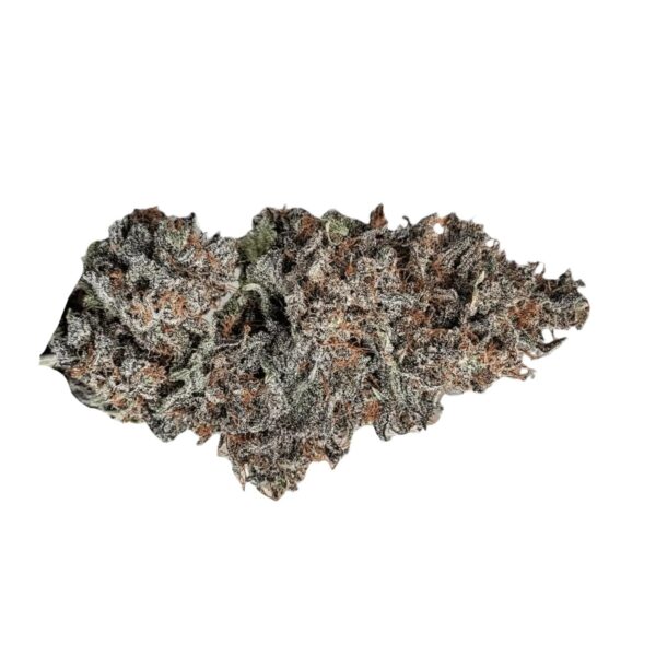 Oceanic BL 21/1 Black Lavender