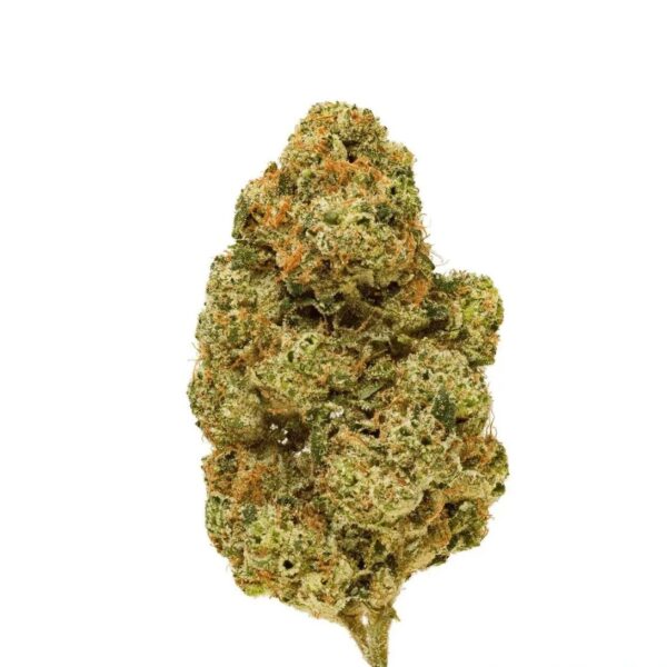 Wellford Peak 26/1 CA CJU Cap Junky