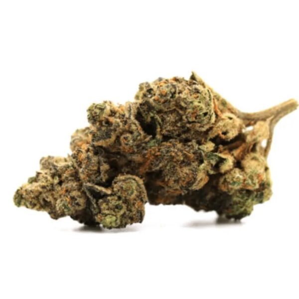 Pedanios 27/1 FRG-CA Farm Gas
