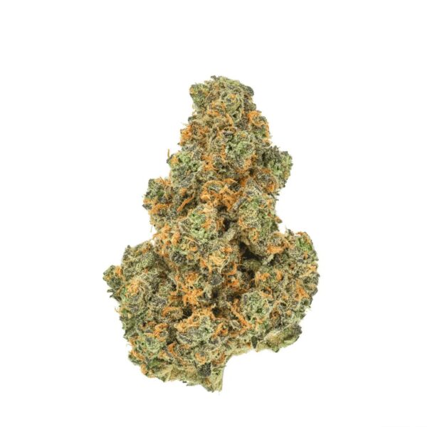 Pedanios 27/1 PND-CA Pink Diesel