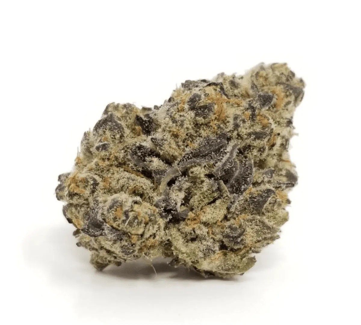 remexian-27-1-civ-mim.jpg Remexian 27/1 CIV PKU Poison Kush – Bild 1