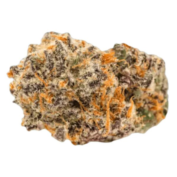 Remexian 30/1 CIV BOB Booberry Cookies