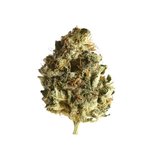 Remexian 20/1 GJY CHO Chocolate Kush