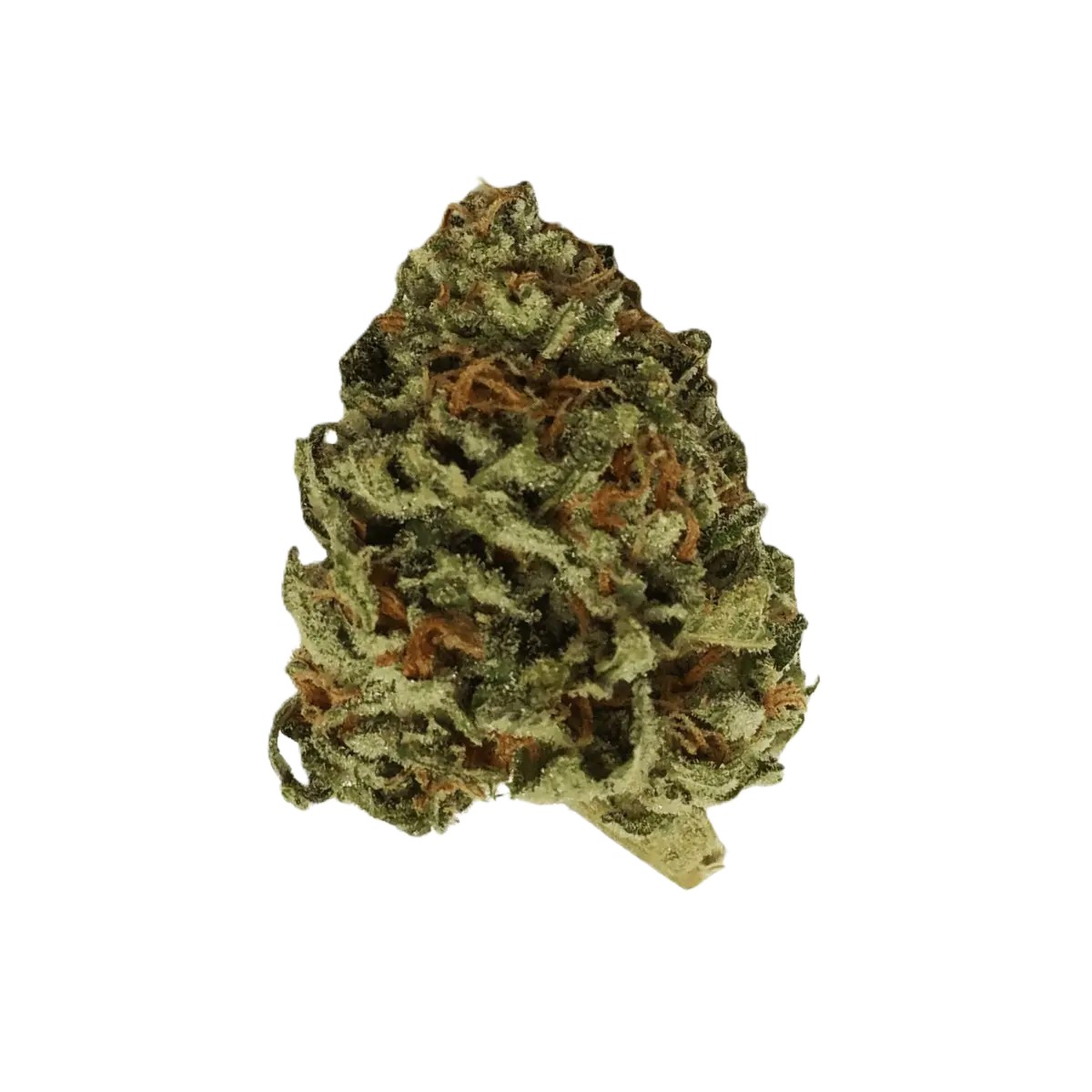 remexian-30-1-nlc-anm.jpg Remexian 30/1 NLC ANM Animal Mints – Bild 1