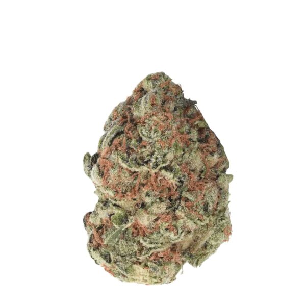 Remexian 30/1 TWE GBY Gorilla Berry