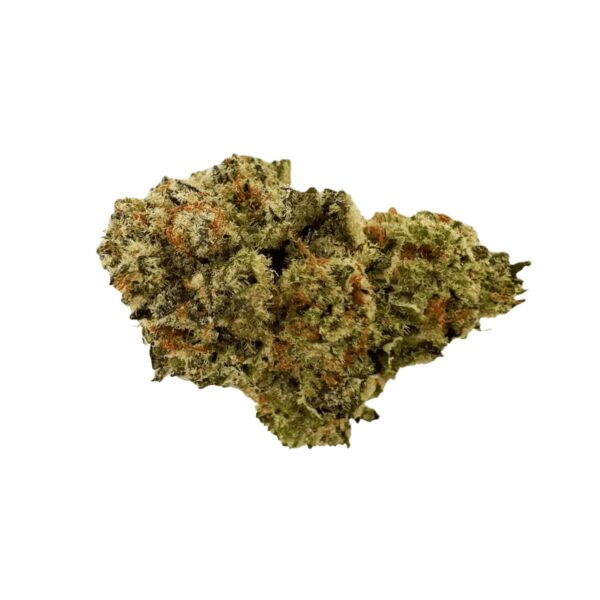 Sibanax Crescendo Cookies 16/1