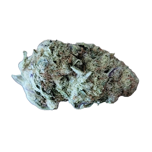 Sibanax Hybrid MCF 28/1 Mac Fem
